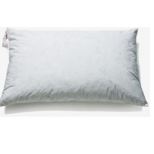 COUSSIN.jpg Coussin de polystyrol 30 x 40 cm